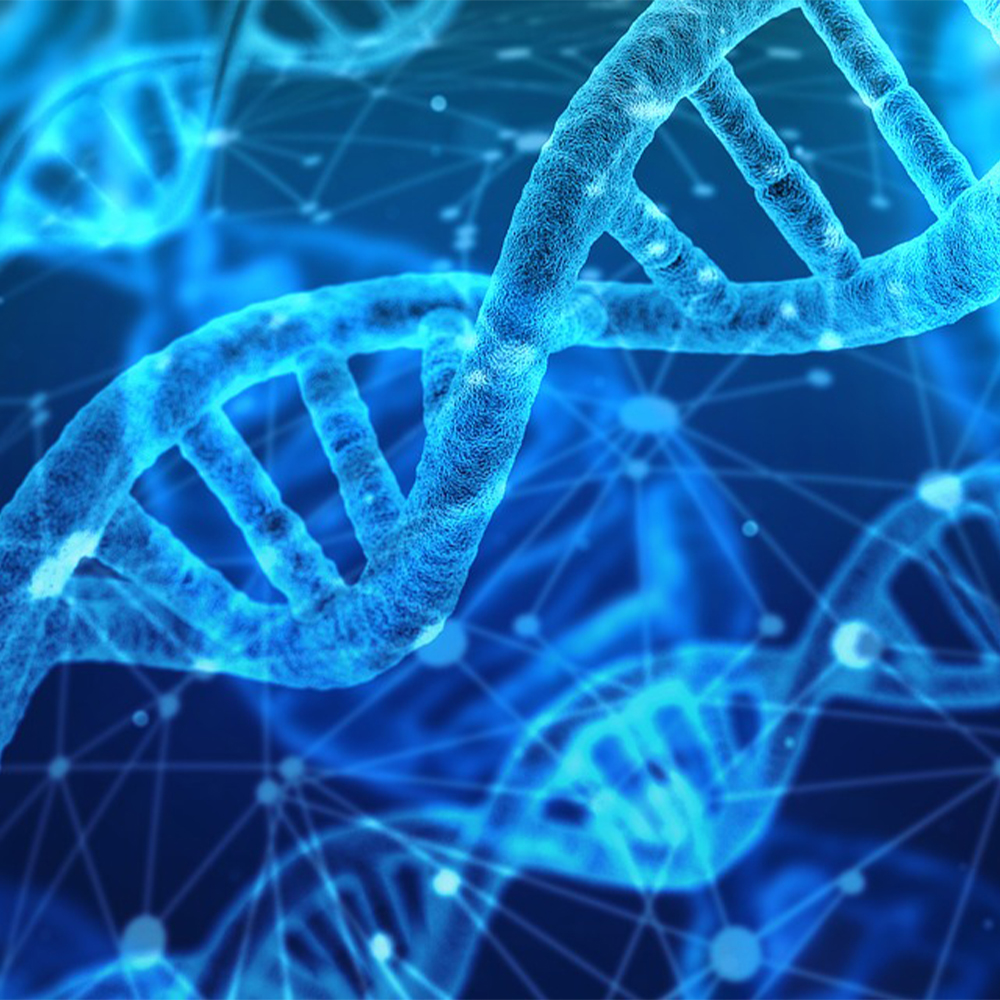 Blueprint Medicines
