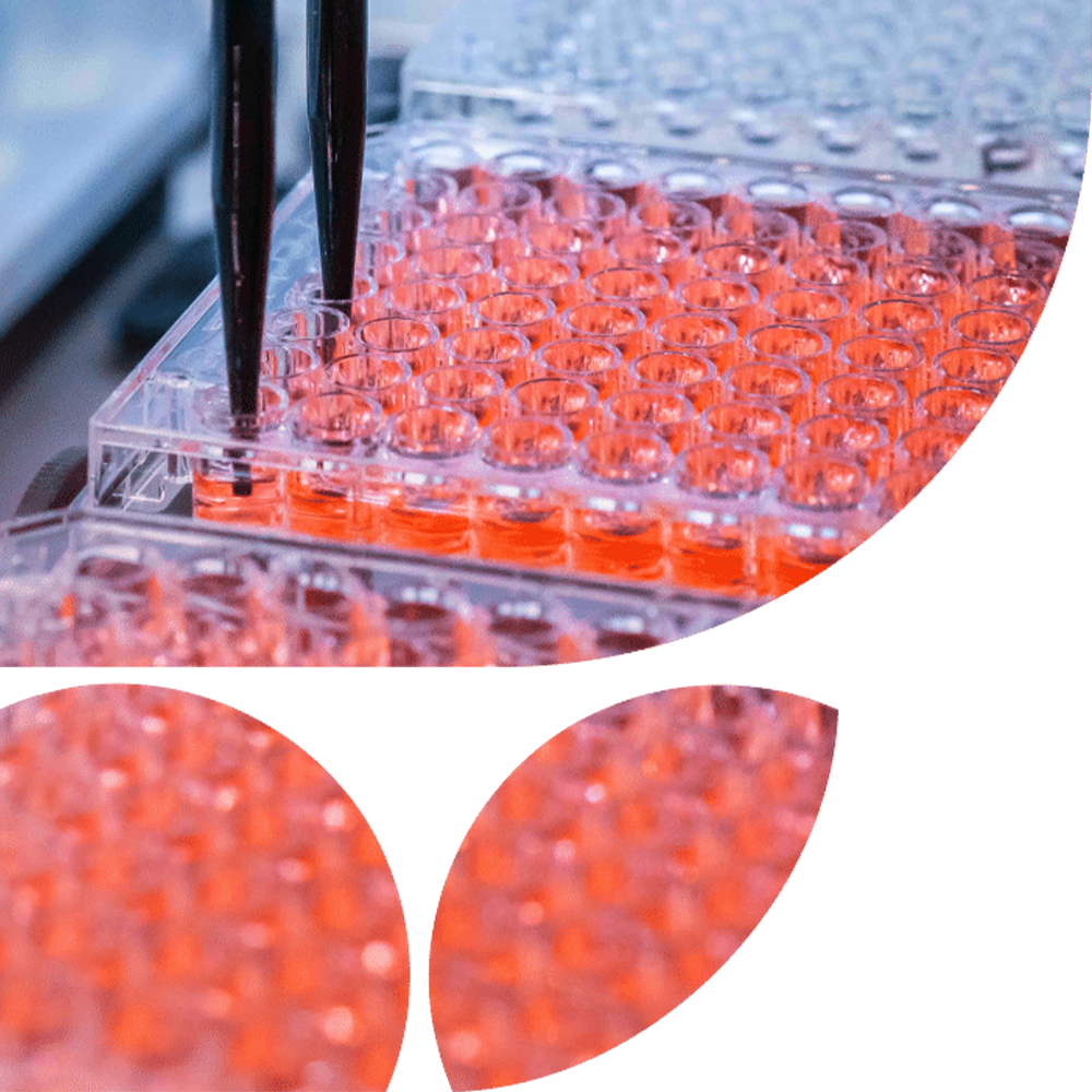 Coherus Biosciences