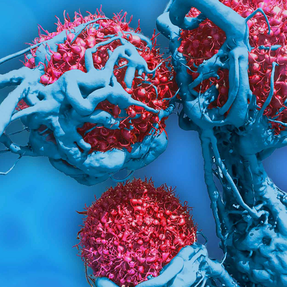 Turnstone Biologics