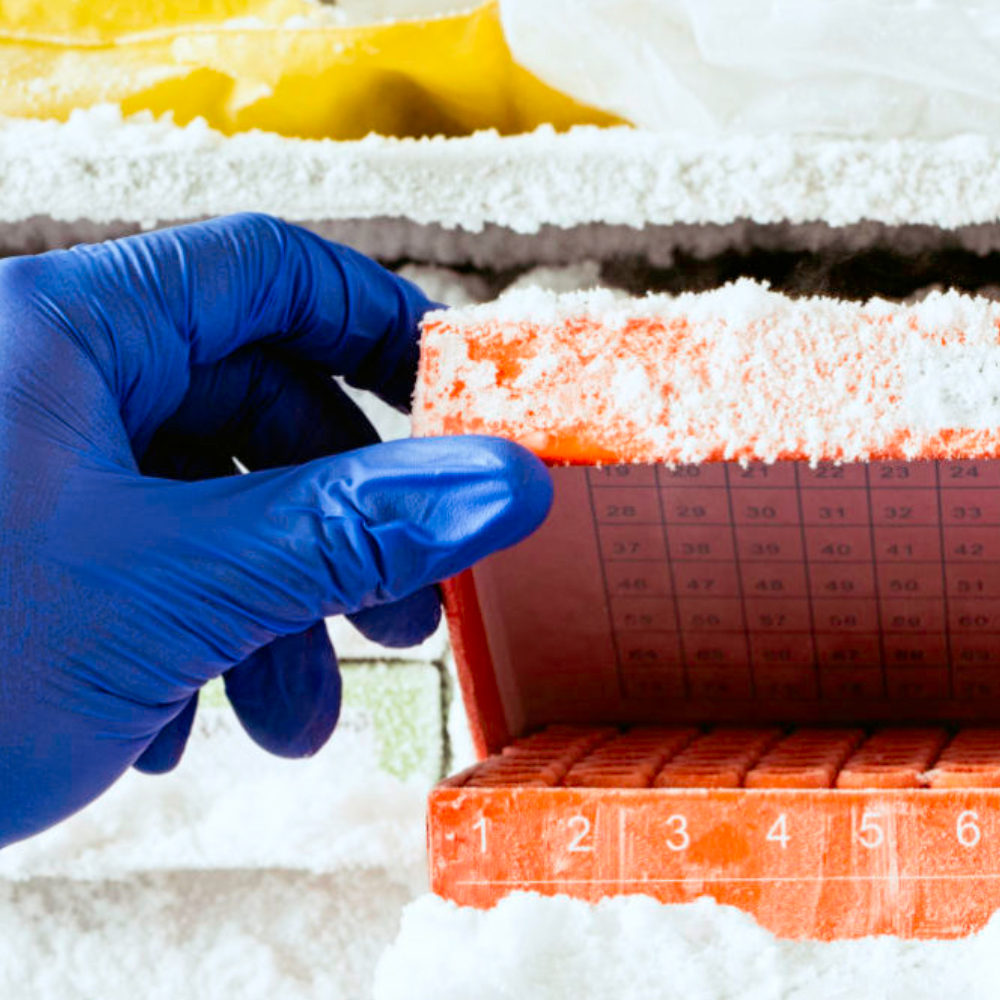 Sana Biotechnology