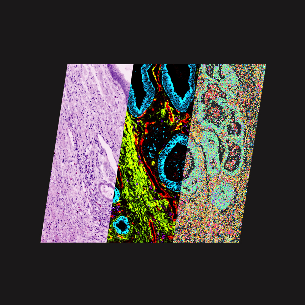 Singular Genomics