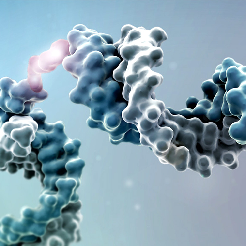 Atalanta Therapeutics