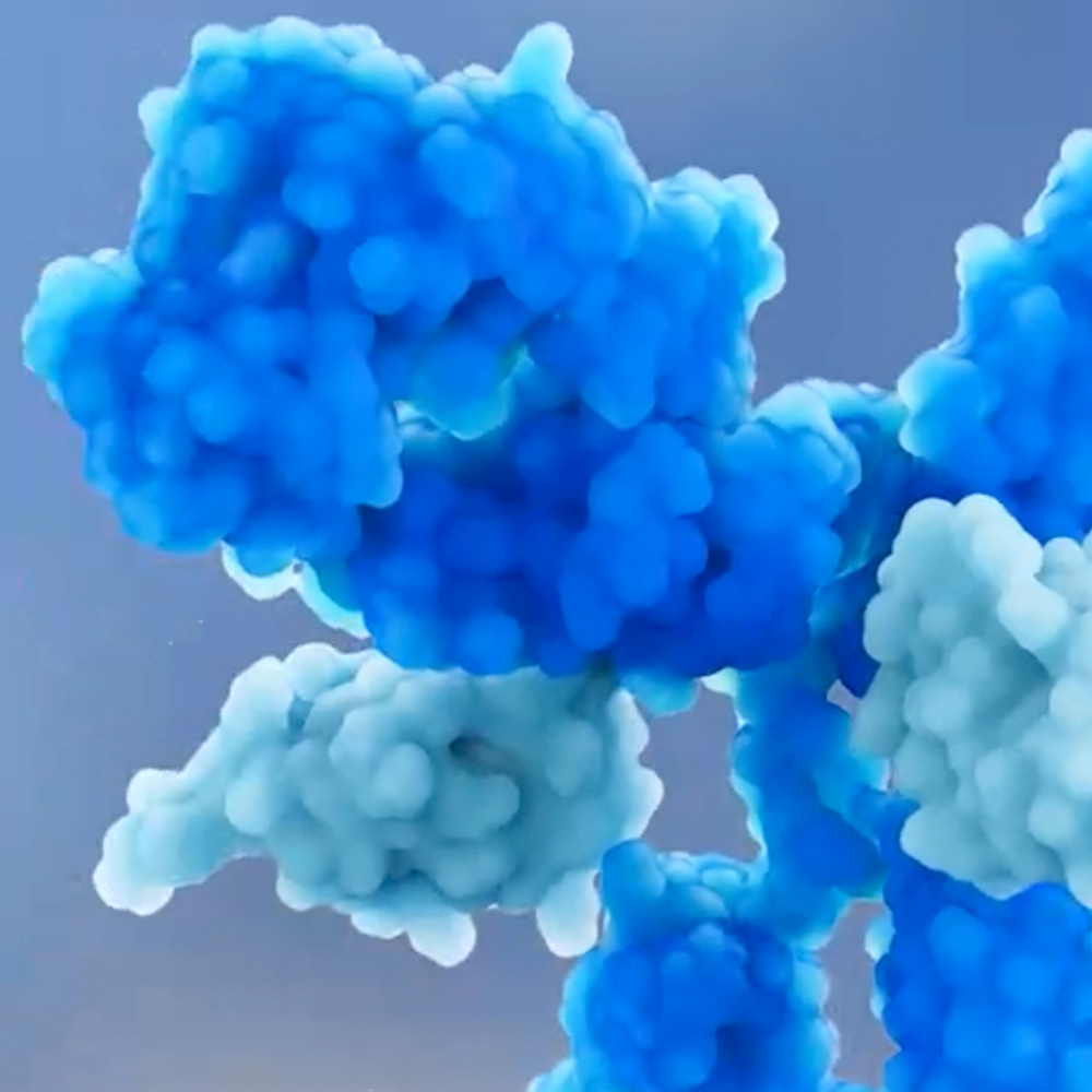 Bicara Therapeutics