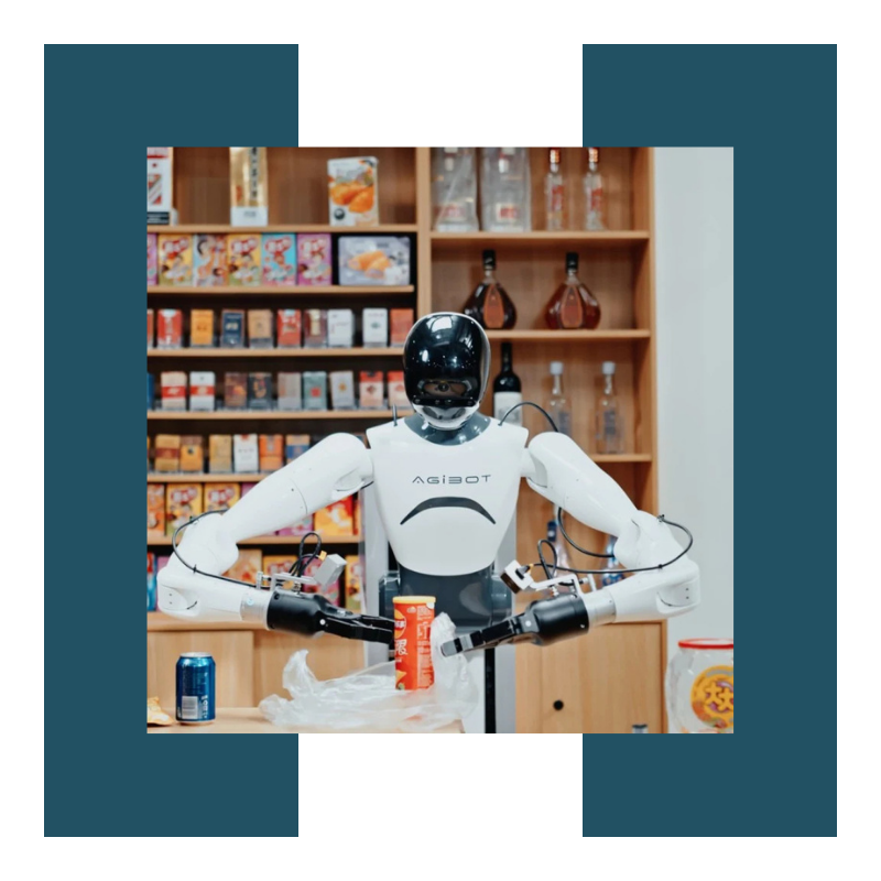 Robotics Report: China Edition