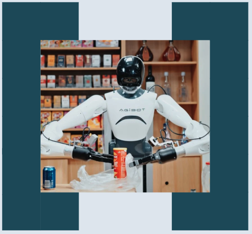 Robotics Report: China Edition